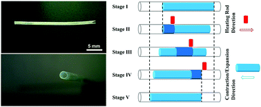 Graphical abstract: Thermomechanical liquid crystalline elastomer capillaries with biomimetic peristaltic crawling function