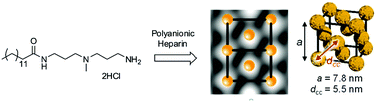 Graphical abstract: Emergence of highly-ordered hierarchical nanoscale aggregates on electrostatic binding of self-assembled multivalent (SAMul) cationic micelles with polyanionic heparin