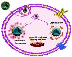 Graphical abstract: An engineered thermo-sensitive nanohybrid particle for accurate temperature sensing at the single-cell level and biologically controlled thermal therapy