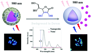 Graphical abstract: A ratiometric nanoprobe consisting of up-conversion nanoparticles functionalized with cobalt oxyhydroxide for detecting and imaging ascorbic acid
