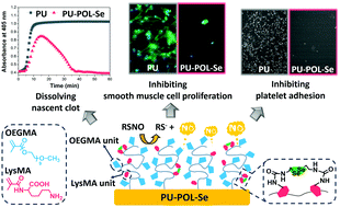 Graphical abstract: A hemocompatible polyurethane surface having dual fibrinolytic and nitric oxide generating functions