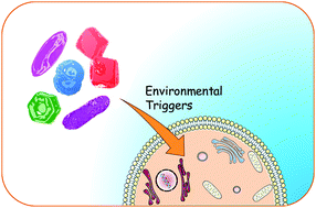 Graphical abstract: Shaped stimuli-responsive hydrogel particles: syntheses, properties and biological responses