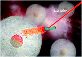 Graphical abstract: Stepwise growth of gold coated cancer targeting carbon nanotubes for the precise delivery of doxorubicin combined with photothermal therapy