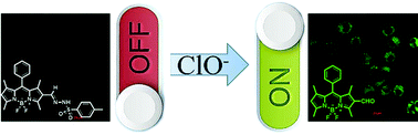 Graphical abstract: An ultrafast responsive BODIPY-based fluorescent probe for the detection of endogenous hypochlorite in live cells