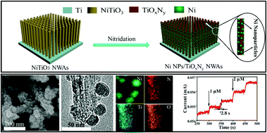 Graphical abstract: In situ fabrication of Ni nanoparticles on N-doped TiO2 nanowire arrays by nitridation of NiTiO3 for highly sensitive and enzyme-free glucose sensing