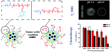 Graphical abstract: Magnetite nanocluster and paclitaxel-loaded charge-switchable nanohybrids for MR imaging and chemotherapy