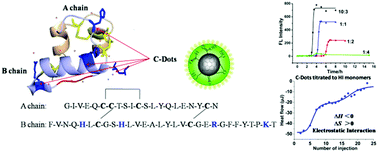 Graphical abstract: Active site-targeted carbon dots for the inhibition of human insulin fibrillation