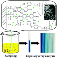 Graphical abstract: Encapsulating chromogenic reaction substrates with porous hydrogel scaffolds onto arrayed capillary tubes toward a visual and high-throughput colorimetric strategy for rapid occult blood tests