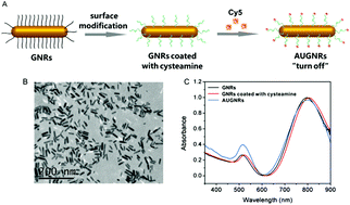 Graphical abstract: Activatable ultrasmall gold nanorods for “off–on” fluorescence imaging-guided photothermal therapy