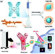 Graphical abstract: An aza-BODIPY photosensitizer for photoacoustic and photothermal imaging guided dual modal cancer phototherapy
