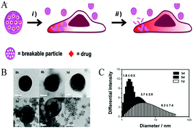 Graphical abstract: Stimuli-responsive delivery vehicles based on mesoporous silica nanoparticles: recent advances and challenges