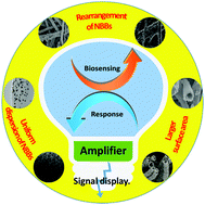 Graphical abstract: Electrospinning design of functional nanostructures for biosensor applications