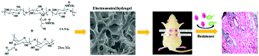 Graphical abstract: Cross-linked antifouling polysaccharide hydrogel coating as extracellular matrix mimics for wound healing