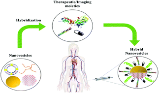 Graphical abstract: Nanomaterials engineering for drug delivery: a hybridization approach