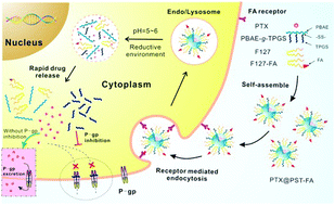 Graphical abstract: Redox/pH dual-sensitive hybrid micelles for targeting delivery and overcoming multidrug resistance of cancer