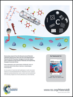 Graphical abstract: Back cover