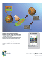 Graphical abstract: Back cover