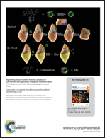 Graphical abstract: Back cover