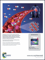 Graphical abstract: Back cover