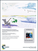 Graphical abstract: Back cover