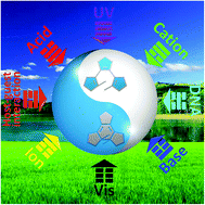 Graphical abstract: Recent advances in diarylethene-based multi-responsive molecular switches