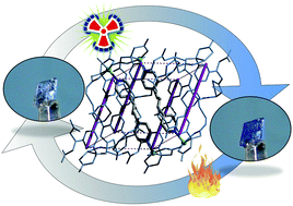 Graphical abstract: Confinement of an electron-capturing unit within an electron-donating framework for X-ray detection