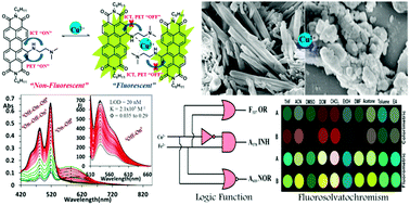 Graphical abstract: Self-assembled nanorods of bay functionalized perylenediimide: Cu2+ based ‘turn-on’ response for INH, complementary NOR/OR and TRANSFER logic functions and fluorosolvatochromism