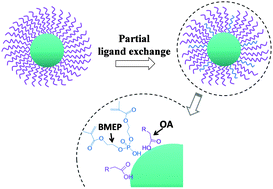 Graphical abstract: Partial ligand exchange as a critical approach to the synthesis of transparent ytterbium fluoride–polymer nanocomposite monoliths for gamma ray scintillation