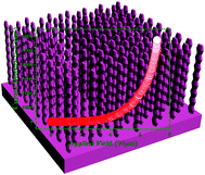 Graphical abstract: Fabrication of highly oriented 4H-SiC gourd-shaped nanowire arrays and their field emission properties