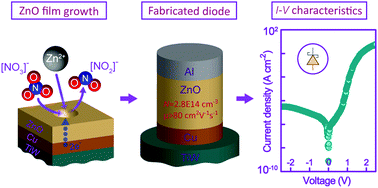 Graphical abstract: Low residual donor concentration and enhanced charge transport in low-cost electrodeposited ZnO