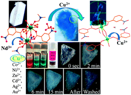 Graphical abstract: Selective colorimetric detection of Cu2+ by lanthanide based hybrid complexes associated with a single crystal growth mediated transformation