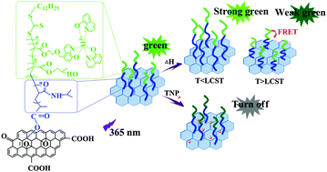 Graphical abstract: Temperature responsive polymer brushes grafted from graphene oxide: an efficient fluorescent sensing platform for 2,4,6-trinitrophenol