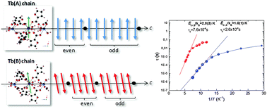 Graphical abstract: Antiferromagnetic single-chain magnet slow relaxation in the {Tb(α-fur)3}n polymer with non-Kramers ions