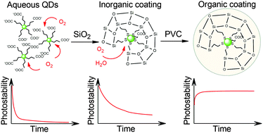 Graphical abstract: Photobleaching-resistant ternary quantum dots embedded in a polymer-coated silica matrix