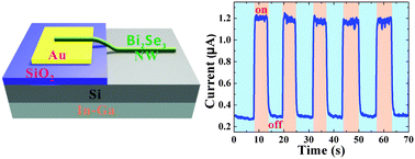 Graphical abstract: Topological insulator Bi2Se3 nanowire/Si heterostructure photodetectors with ultrahigh responsivity and broadband response