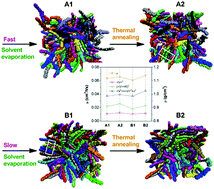 Graphical abstract: Revealing the influence of the solvent evaporation rate and thermal annealing on the molecular packing and charge transport of DPP(TBFu)2