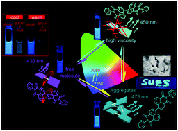 Graphical abstract: A thermoresponsive fluorescent rotor based on a hinged naphthalimide for a viscometer and a viscosity-related thermometer