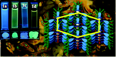 Graphical abstract: Star-shaped fluorescent liquid crystals derived from s-triazine and 1,3,4-oxadiazole moieties