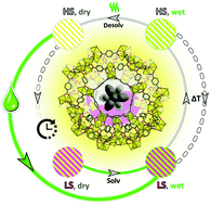 Graphical abstract: Solvent-triggered relaxative spin state switching of [Fe(HB(pz)3)2] in a closed nano-confinement of NH2-MIL-101(Al)