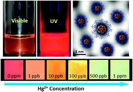 Graphical abstract: Highly luminescent monolayer protected Ag56Se13S15 clusters