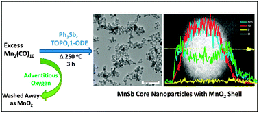 Graphical abstract: Synthesis of colloidal MnSb nanoparticles: consequences of size and surface characteristics on magnetic properties