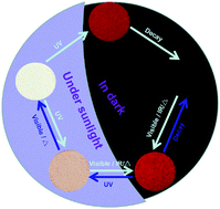 Graphical abstract: Multifunctional near-infrared emitting Cr3+-doped Mg4Ga8Ge2O20 particles with long persistent and photostimulated persistent luminescence, and photochromic properties