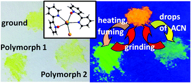 Graphical abstract: Process-dependent reversible mechanochromic luminescence of bismuth based polymorphs