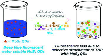 Graphical abstract: High selectivity in water soluble MoS2 quantum dots for sensing nitro explosives