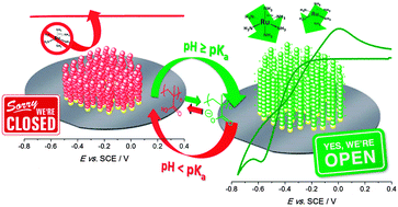 Graphical abstract: ON/OFF switching of silicon wafer electrochemistry by pH-responsive polymer brushes