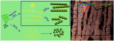 Graphical abstract: Tunable hierarchical Fe nanowires with a facile template-free approach for enhanced microwave absorption performance