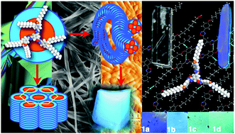 Graphical abstract: Aromatic π–π driven supergelation, aggregation induced emission and columnar self-assembly of star-shaped 1,2,4-oxadiazole derivatives