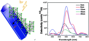 Graphical abstract: A high-performance self-powered broadband photodetector based on a CH3NH3PbI3 perovskite/ZnO nanorod array heterostructure