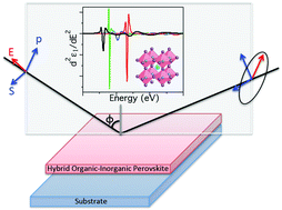 Graphical abstract: Effects of alloying on the optical properties of organic–inorganic lead halide perovskite thin films