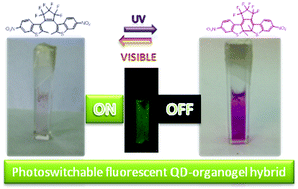 Graphical abstract: Light-responsive hybrid material based on luminescent core–shell quantum dots and steroidal organogel